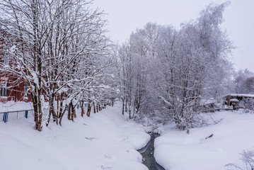 Russia. Winter. Fog in the forest.