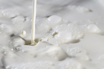 Fototapeta na wymiar Spray of milk. Drops, bubbling surface. Background for your product.