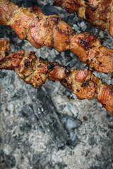 Barbecue.Juicy pieces of meat on skewers