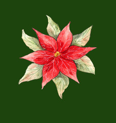 Decorations elements of the New Year and Christmas for invitation, or greeting cards, gift wrapping