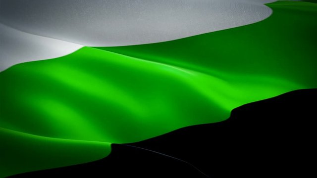 Non binary Pride Flag Rainbow flag video waving in wind. null gender different Neutrois Flag background. LGBT person Rainbow Pride Flag Looping Closeup 1080p HD 1920X1080 footage. Rainbow Pride concep