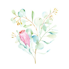 Watercolor wedding isolated bouquet with eucaliptus leaves and branches and Protea flowers