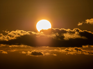太陽