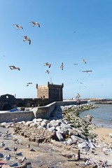 Marokko - Essaouira - Castello Real