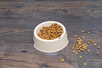 Dry food in a bowl for animals. Close up. Copy space.