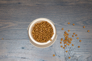 Dry food in a bowl for animals. Close up. Copy space.