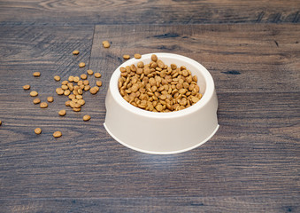 Dry food in a bowl for animals. Close up. Copy space.