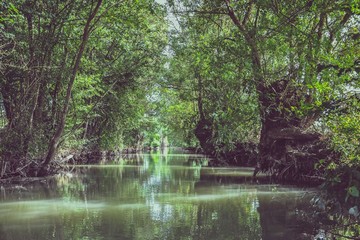 marais