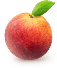 Isolated peach. Single peach fruit with leaf isolated on white background with clipping path