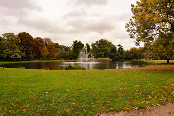 Autumn in the park