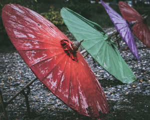 Thai umbrellas in a row