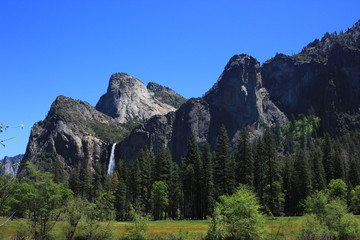 Obraz premium Yosemite National Park