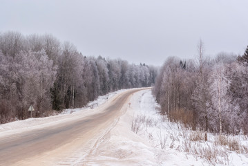 Obraz premium Russia. Winter. Fog in the forest.