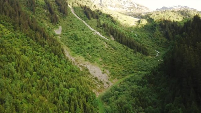 Cinematic aerial shot of fir forest in French mountains