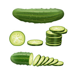 Fresh cucumber set, vector in realistic style