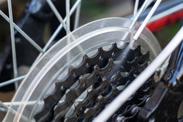 masters, lubricate the bicycle chain of a mountain bike with a special lubricant in the home...
