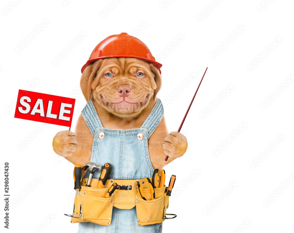 Poster Smiling puppy worker wearing a hardhat and overalls with tool belt holds sales symbol and point on empty space. Isolated on white background