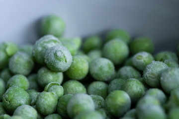 Shallow focus of freshly picked garden peas, having been frozen. Seen close-up, after being removed from a freezer, to maintain there freshness. Some of the pea shells have split open.