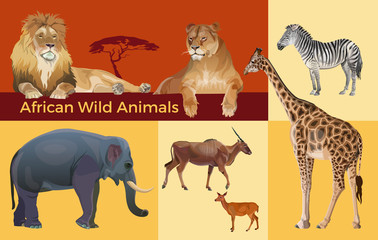 African wildlife, vector image in realistic style