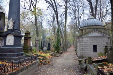 Tombstones and trees at the old cemetery.