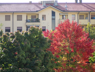 Autumn colors with fiery tints a small city park inserted between the buildings