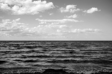 Obraz premium Baltic sea scenery. Black and white