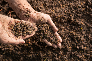 The hand of a man holding the soil in his hand and having a black earth background.