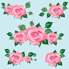 Fototapeta premium red roses, flowers, isolated on a blue