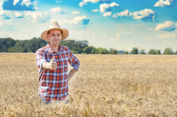 Naklejka na ściany i meble Happy looking farmer in straw hat shows thumbs up at harvest ready wheat field