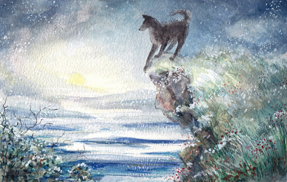 Watercolor paint winter wolf illustration.This nordic animal illustration is good for book cover, illustration,card.