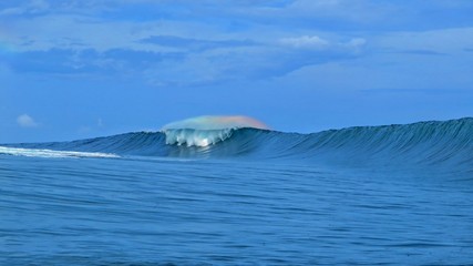 Obraz premium exploring tropical island of tahiti