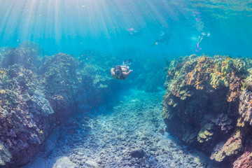 Woman in bikini snorkeling over reef in ocean