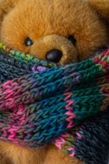 cute teddy bear 