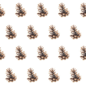 Watercolor seamless pattern with pine cones on white background.  Forest and Christmas design