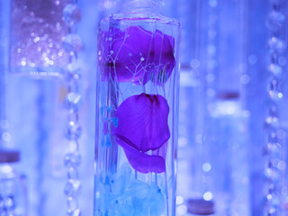 flower, container, rose, romantic, floral, branch, background, ribbon, glass, cosmetic, essence, fashion, curtain, peony, cherry blossom, salvia, plant, flying, fabric, flower ceremony, flowing, decor