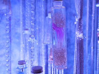Colorful flowers in a glass bottle