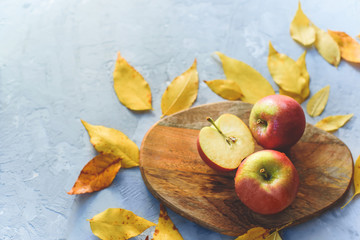 Ripe juicy apples lie among the fallen golden fossil foliage.