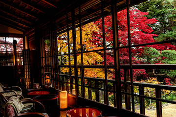 窓から眺める秋の庭園