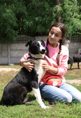 Naklejka na ściany i meble Female volunteer with homeless dog at animal shelter outdoors