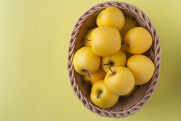 Basket with yellow apples on a yellow background.