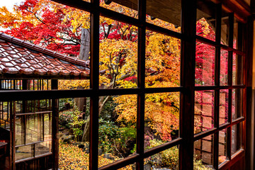 窓から眺める秋の庭園