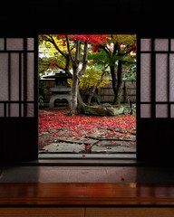 秋色の玄関