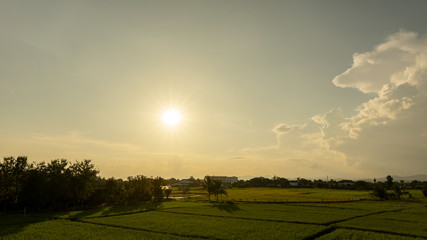 The fields and the sky and the sun are beautiful nature.