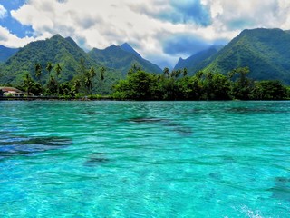 exploring tropical island of tahiti - obrazy, fototapety, plakaty