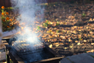Barbecue chicken in smoke on the grill on the street. Barbecue picnic in the country. No healthy food concept.