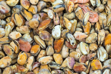Fresh oysters frozen in ice / background, texture effect. Selective focus.