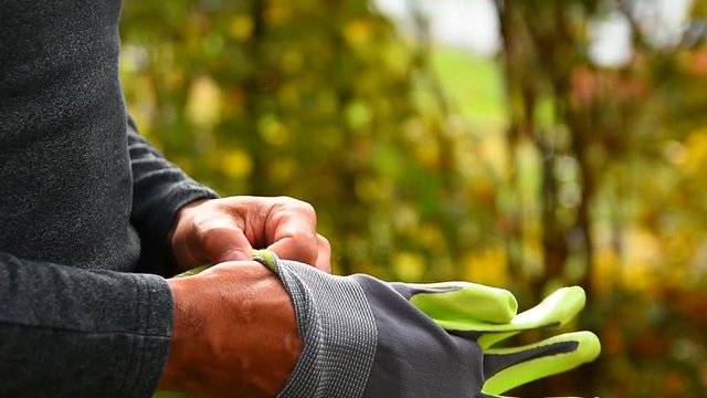 Autumn Gardening, Putting Gloves On