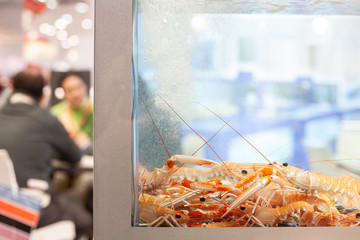 Garnelen im Aquarium in einem Restaurant