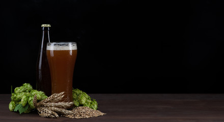 Craft beer with fresh green of hops and wheat and malt on dark wooden table. Empty space for text. Black background