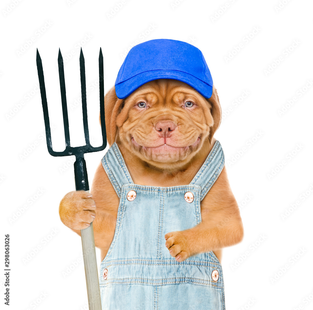 Poster smiling puppy farmer in blue cap with pitchfork. isolated on white background